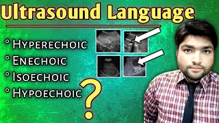 Decoding Ultrasound Language  Understanding Hyperechoic Hypoechoic Echogenicity Isoechoic and [upl. by Arinayed]