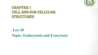 Endocytosis and Exocytosis  Phagocytosis and Pinocytosis  Bulk Transport Across Cell Membrane [upl. by Suzy]