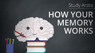 This is how your memory works encoding storage and retrieval  Study Arata 19 [upl. by Stoddart]