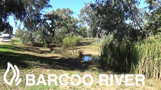 Barcoo River Camping area  Blackall Queensland [upl. by Ahsinirt938]