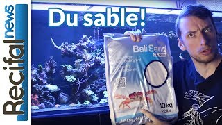 VLOG17 Vince Z  le sable en aquarium récifal [upl. by Elegna]