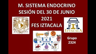 M Sistema Endocrino Sesión del Miércoles 30 de Junio del 2021 [upl. by Yemarej]