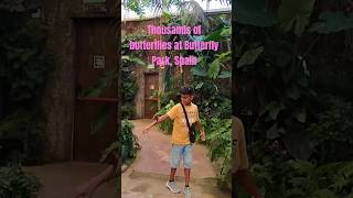 Inside the Worlds Largest Indoor Butterfly Park A Magical Experience in Málaga butterfly shorts [upl. by Adine]