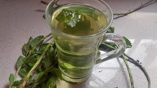 HEALTH BENEFITS OF VERVINE BLUE VERVAIN TEA natural remedies 2 [upl. by Goldia]