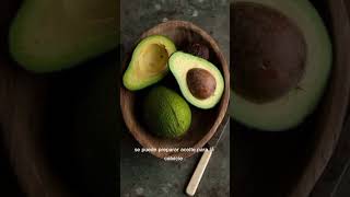 Propiedades del aguacate aguacate naturales natural saludables herbolaria [upl. by Esirahc]