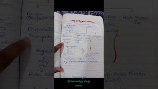 Endocrinology Drugs NameSummary pharma 3rdyear mbbs lectures medicine notes subscribe yt [upl. by Ehcadroj]