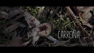 RED BROWN  quotCarroñaquot  Trailer Soundtrack [upl. by Fleurette]