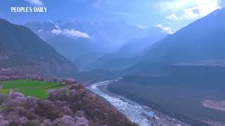 Spring scenery of the Yarlung Tsangpo Grand Canyon in SW Chinas Xizang [upl. by Odilo]