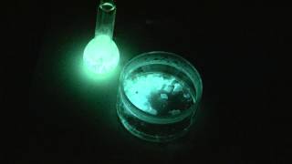 Luminol chemiluminescence [upl. by Aikemet]