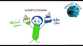 Alberts staining [upl. by Iris]