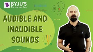 Audible and Inaudible Sounds  Characteristics of Infrasound Ultrasound and Audible Sound [upl. by Dranik789]