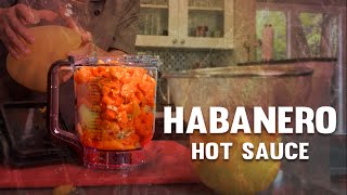 How to Make Habanero Pineapple Fermented Hot Sauce or Mango [upl. by Torrence489]