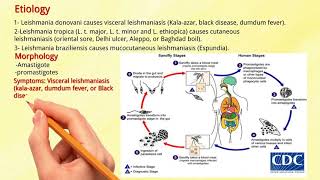 LEISHMANIASIS [upl. by Ellga230]