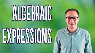 Algebraic Expressions Basics [upl. by Otrebliw864]