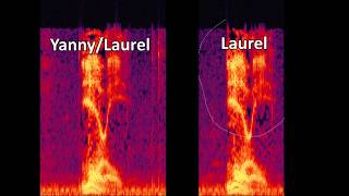 Yanny  Laurel  Removing HighLow Frequencies [upl. by Cassilda133]