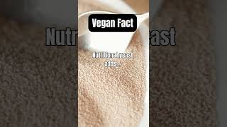 Nutritional Yeast The Superfood You Didnt Know About [upl. by Alekim]