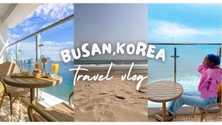 BUSAN VLOG Busan Ahjummas are too SAVAGE😭🤢▫ Beach front Airbnb Tour ▫ FREE Cake ▫ Rainy day [upl. by Victoir]