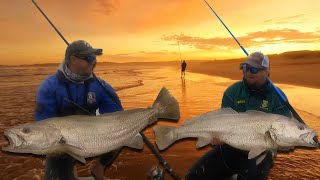 Targeting Kob in the surf Fishing with live Mullet and Octopus for mulloway from the beach [upl. by Dusa]