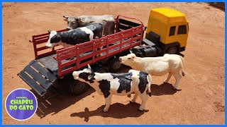 TRANSPORTANDO AS VACAS DA FAZENDINHA [upl. by Buckie]