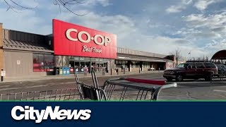 Calgary COOP to close two grocery stores [upl. by Gabel]