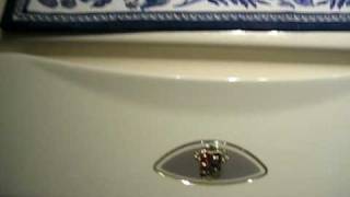 Maytag Neptune Washer Gone Wild [upl. by Curnin]