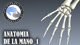 Anatomia y huesos de la mano fracturas mas frecuentes [upl. by Notsud570]