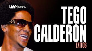 Tego Calderon Reggaeton Exitos  DJ Fibo [upl. by Baumbaugh]