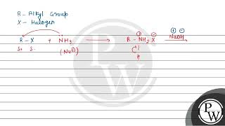 What are the products of exhaustive ammonolysis of an alkyl halide [upl. by Dex]