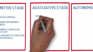 Three stages of learning movement [upl. by Accever]