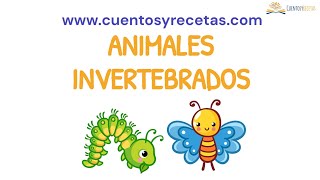 Animales Invertebrados para Niños  CuentosyRecetascom [upl. by Bobbye]