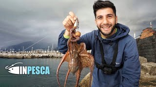 Pesca del Polpo con la POLPARA ARTIGIANALE Polpara fai da te [upl. by Jackqueline]