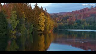 Niedersachsen im Herbst entdecken Urlaub im Harz [upl. by Arand]