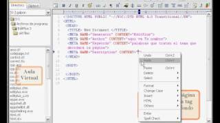 EditPlus  Editor HTML  Lección 0001 [upl. by Scribner785]
