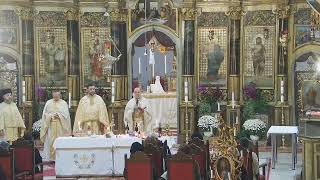 Episcopia GrecoCatolică de Oradea Live Stream [upl. by Powel]