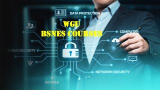 What to expect WGU’s BSNES Capstone ProjectD418 [upl. by Elyrehc515]