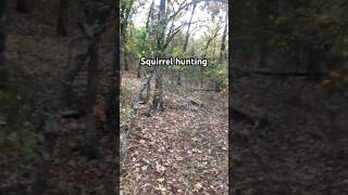 Squirrel hunting [upl. by Farrel]