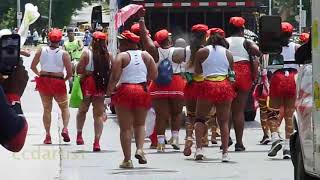 Caribbean Carnival Parade 2024  Part 2 [upl. by Goodden]