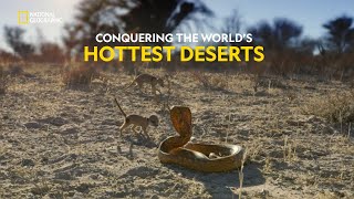 Survival in the Desert  Hostile Planet  हिंदी  S1  E4  Nat Geo Wild [upl. by Stephannie848]