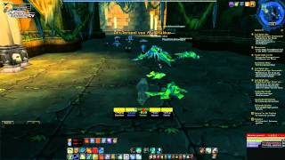 Teil 52 Barlow Drunken Vanion WoW Underskilled And Overgeared [upl. by Enixam]