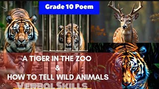 A TIGER IN THE ZOO amp HOW TO TELL WILD ANIMALSEXPLANATION in English10thFirst Flightcbse english [upl. by Delila879]