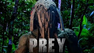 Assassin Predator VS Feral Predator VS Samurai Predator Stop Motion TRAILER [upl. by Meesaw]