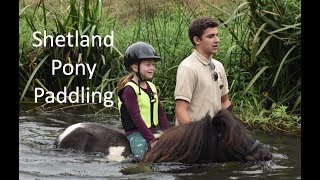 Shetland Pony PaddlingTV Episode 192 [upl. by Akira]