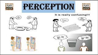 Perception  Meaning in different means  Process of Perception  Smart Education [upl. by Ilaire]