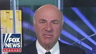 Kevin OLeary reacts to Trump bond reduction Thank goodness adults came to the rescue [upl. by Nytsrik]