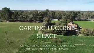 Carting Lucerne Silage to Alcheringa Biodynamic Farm [upl. by Nyberg531]