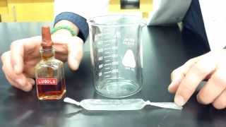 Diffusion Through a Membrane Lab  Part 1 making the model cell [upl. by Kern]