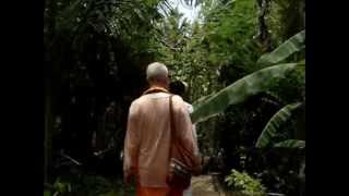 Visit to Karar Ashram with Yogi Sarveshwarananda [upl. by Tish]