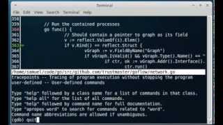 Easier Go debugging on the command line with CGDB [upl. by Eggleston948]