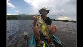 Big Summer Bass Fishing Crankbaits on Lake Mackintosh [upl. by Ennairak]