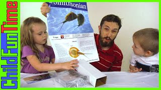 Hatching Smithsonian Triops Eggs With Kids [upl. by Gut847]